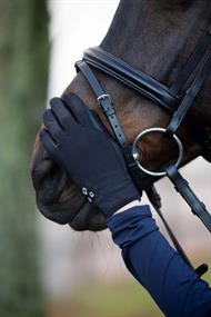 EQ Laredo Vinterridehandsker - Sort