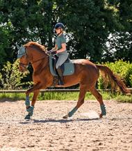 ELT Underlag Trinidad - Pinje Grøn