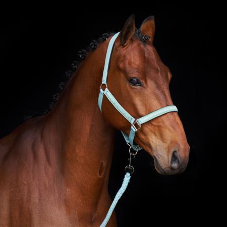 HVP Grime Nena - Aqua Sky