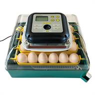 Rugemaskine Auto-vending 24 æg