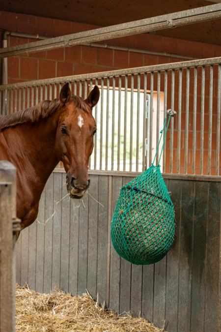 Hønet m. Ring - 90 cm