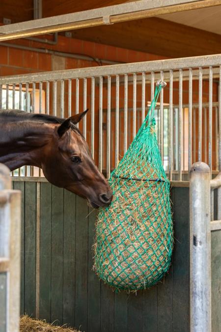 Hønet m. Ring - 120 cm