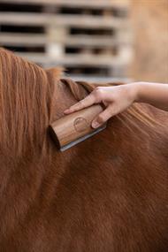 Magic Brush - Fellboy