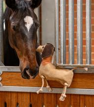 Stable Buddy - Dieter