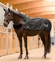 Waldhausen Health & Care Massage/Varmedækken - Sort