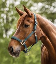 ELT Grime Satin - Pinje Grøn