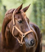 ELT Grime Satin - Fersken