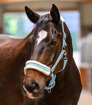 ELT Grime Elegant - Lyseblå