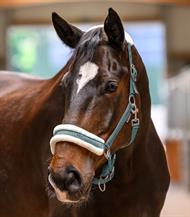 ELT Grime Elegant - Pinje Grøn