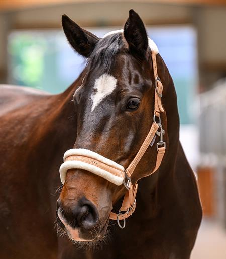 ELT Grime Elegant - Fersken