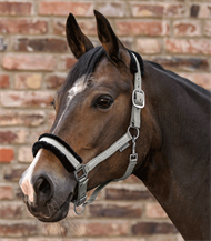 ELT Grime Elegant - Salvie