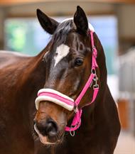 ELT Grime Elegant - Pink