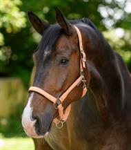 ELT Grime Athletic - Fersken