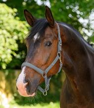 ELT Grime Trinidad - Chrome Grå