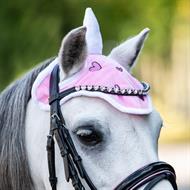 QHP Hut - Unicorn