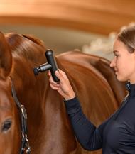 Waldhausen Health & Care Massageapparat