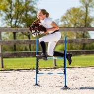 QHP Spring - Hobby Horse