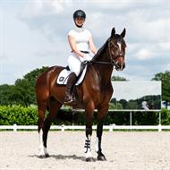 QHP Stævnebluse Vaila - Hvid