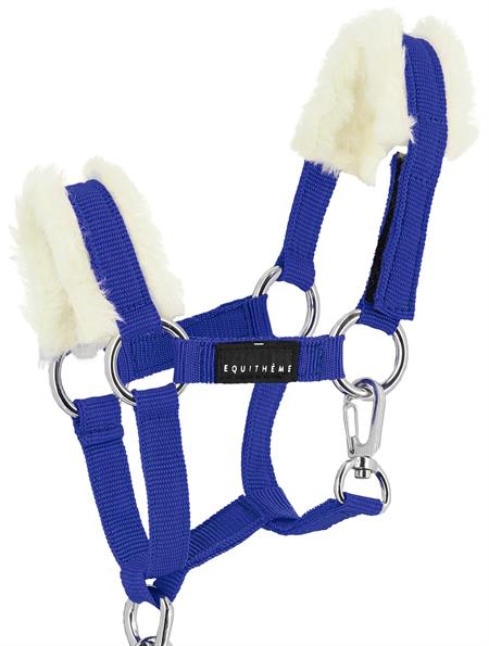 Pony Academy - Mini Pony Grimesæt - Royal Blue