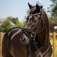 QHP Trense Sensisoft - Sort