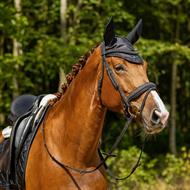 QHP Glitter Trense - Sort