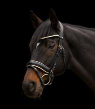 X-Line Trense Ivory - Sort