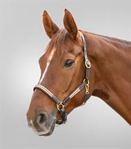 X-Line Lædergrime Oxford - Brun/Beige