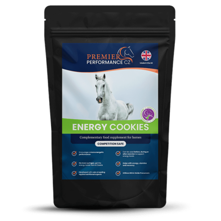 Energy cookies