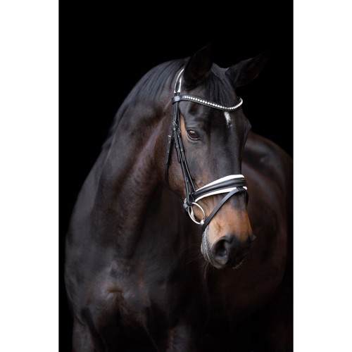 IR Trense Fria - Sort/Hvid