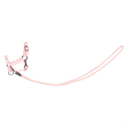 IR Hobby Horse Rebgrime Free Spirit - Light Pink
