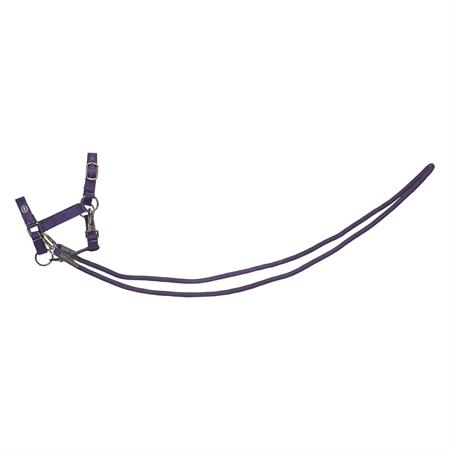 IR Hobby Horse Rebgrime Free Spirit - Lilla