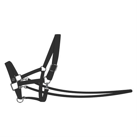 IR Hobby Horse Rebgrime Free Spirit - Sort