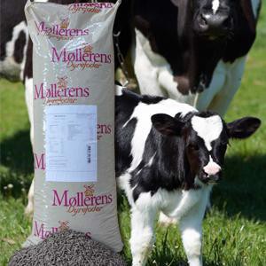 Møllerens Kalveplus Big bag 500 kg