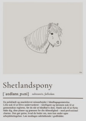 Plakat - A4 - Shetlandspony