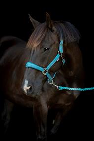 HG Diya Grime - Arctic