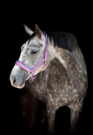 HG Diya Grime - Lavender Herb