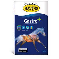 HAVENS Gastro+ 20 kg