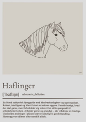Plakat - A4 - Haflinger