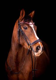 byWeber Molly Trense - Pink