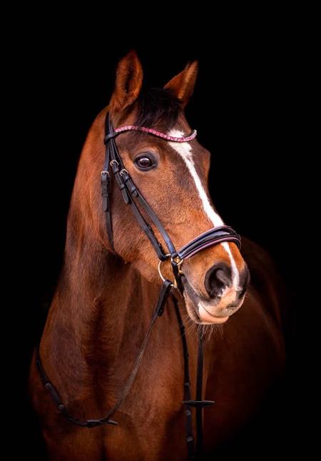 byWeber Molly Trense - Pink