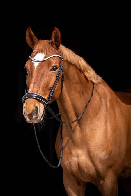 byWeber Jolly Trense - Silver