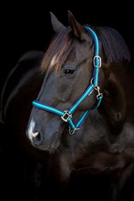 HG Striped Grime - Navy