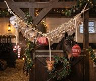 Vedsted Mølle´s Julekalender - Til Hest